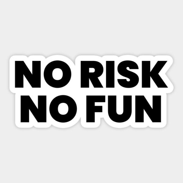 NO RISK NO FUN STICKER