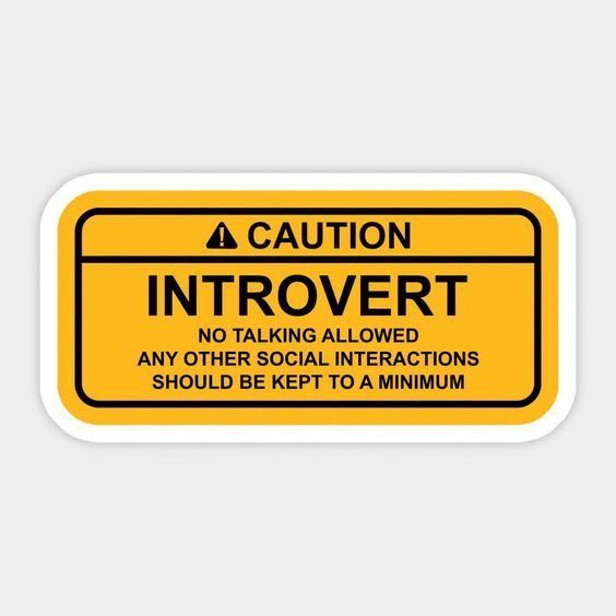 INTROVERT STICKER